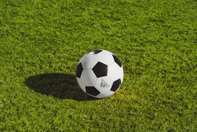 AC米兰足球俱乐部队徽